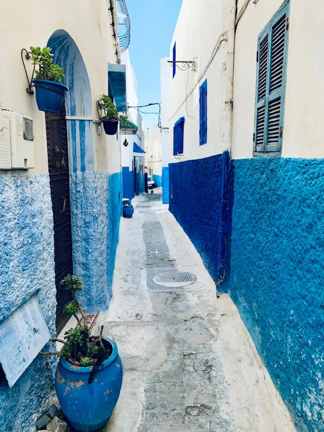 viaggio in tunisia - sidi bou said