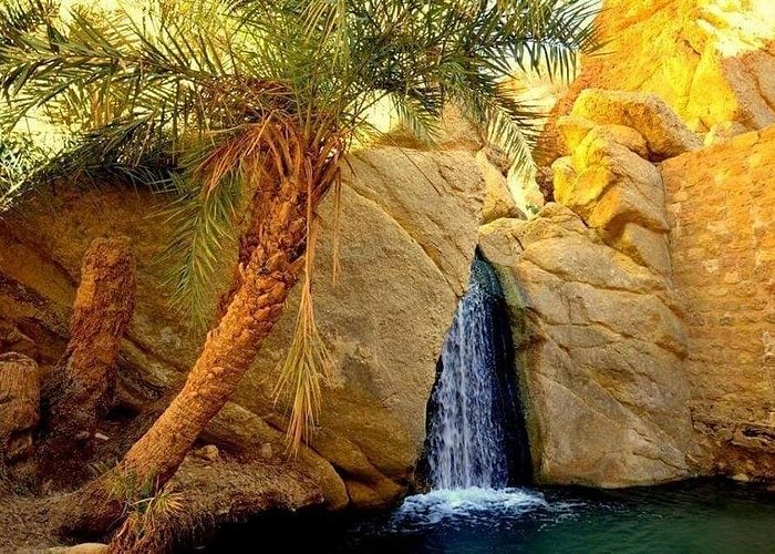 viaggio in tunisia - tozeur