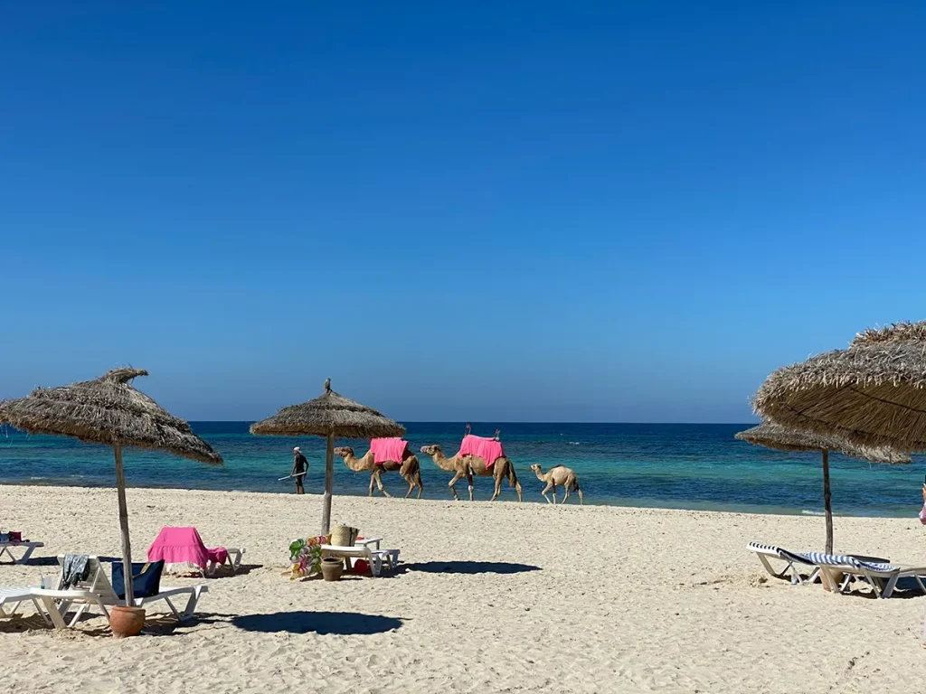 viaggio in tunisia - djerba