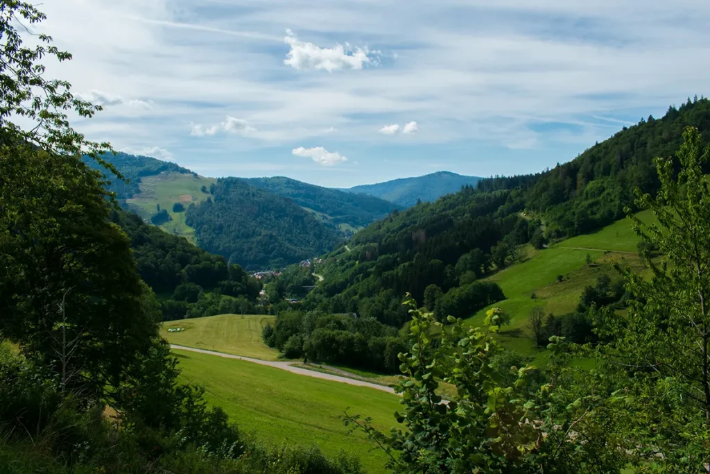 viaggio in germania - foresta nera