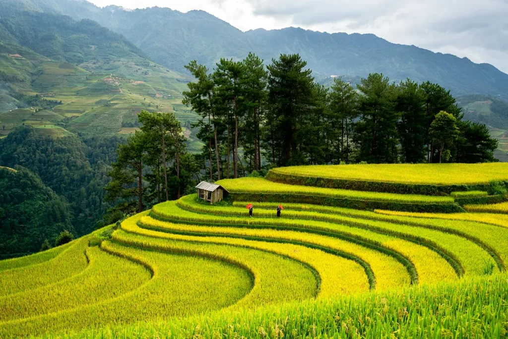 viaggio in vietnam sapa