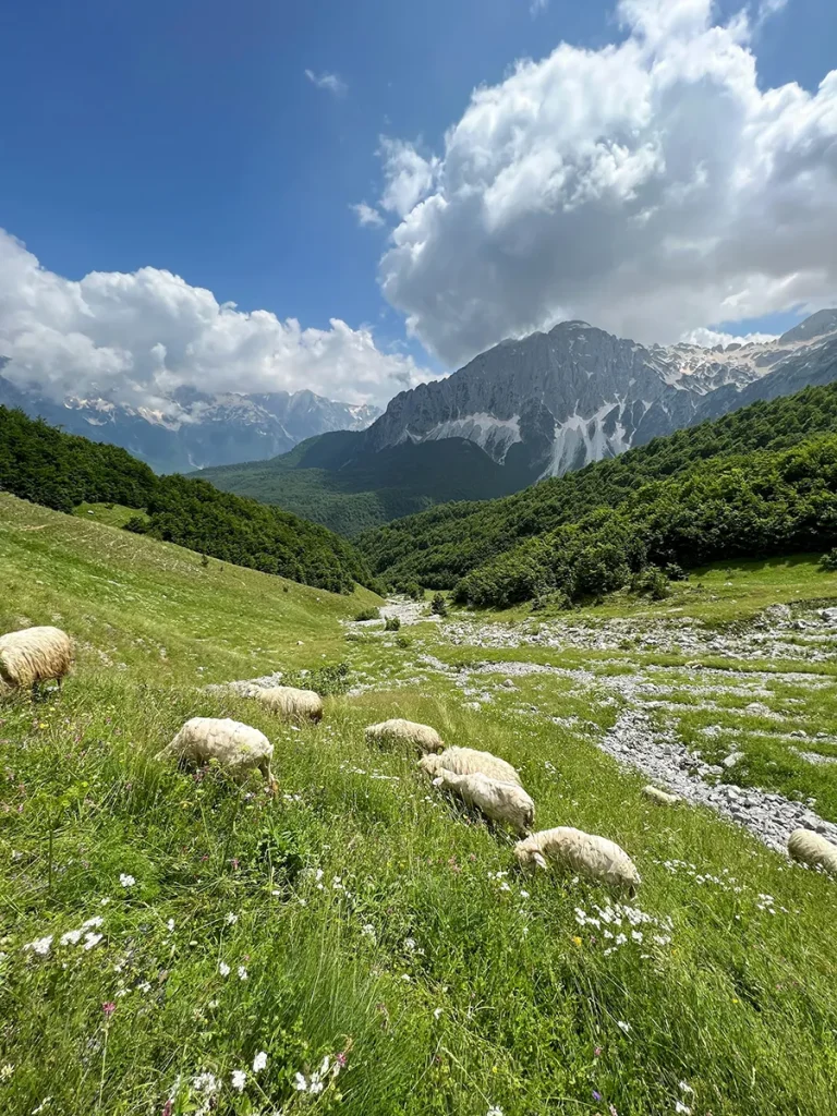 viaggio in albania Valbona