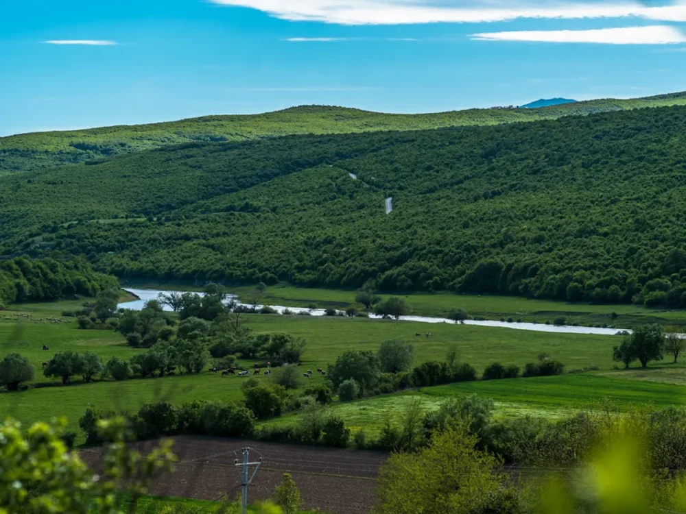 kosovo